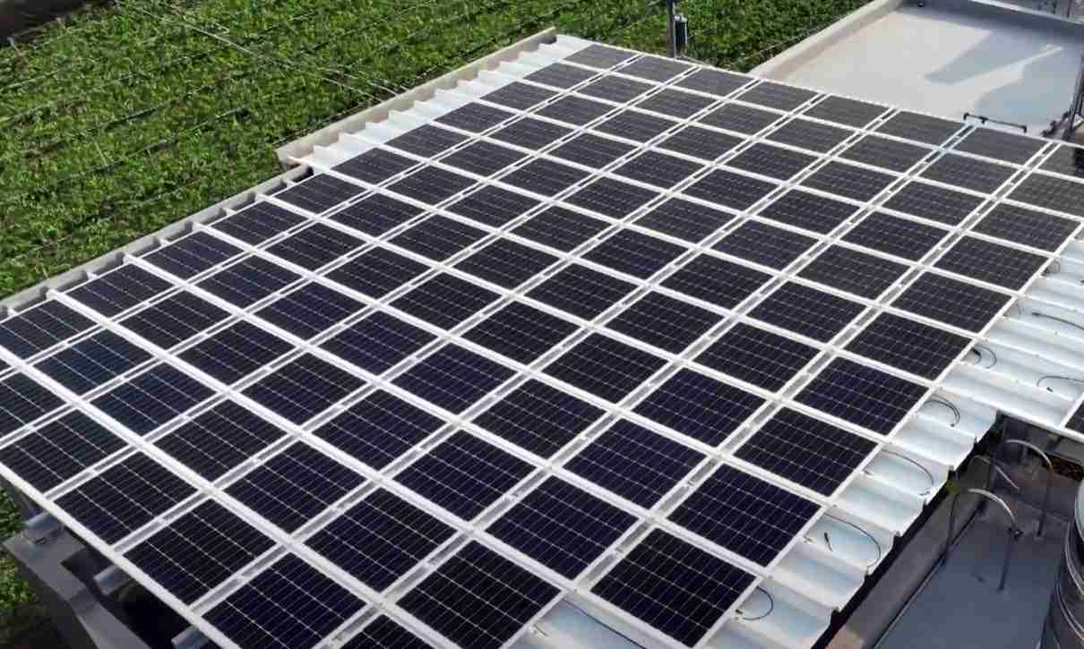 优游UB8SunSteel光电浪板升级双玻结构，，，，以提升机械负载强度及气候耐候度，，可广泛运用于多元场域