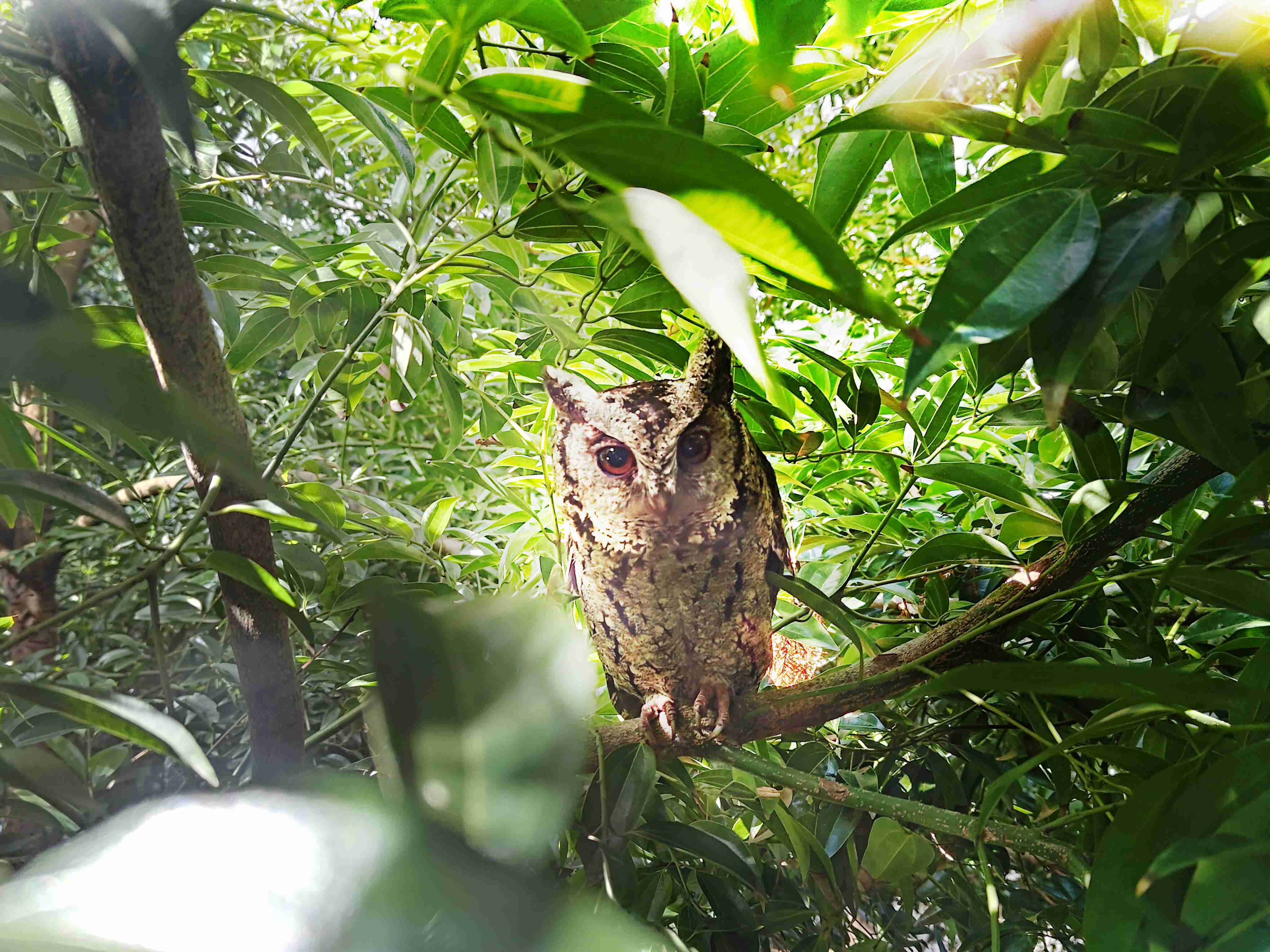 优游UB8致力提倡净零绿生活，，16年以来在全球各厂区植树逾百万棵，，，，造就各厂区树木蔚然成林，，犹如森林工厂，，成为许多生物的栖息地
